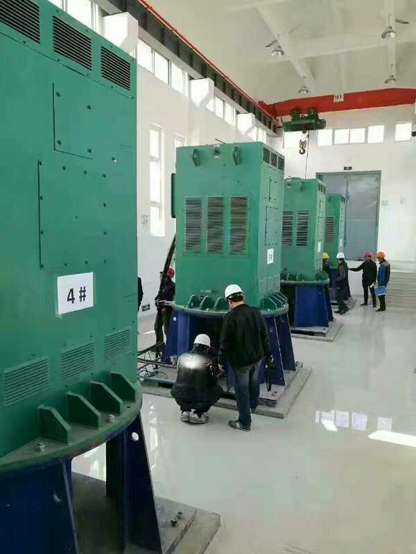南开乡某污水处理厂使用我厂的立式高压电机安装现场